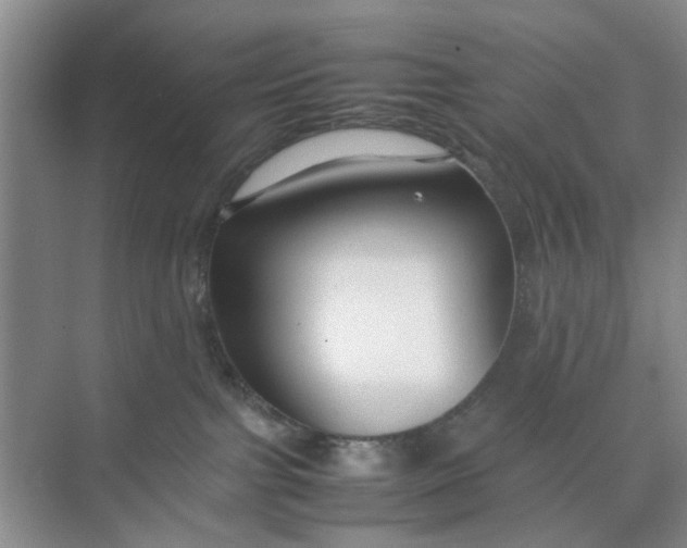 X0000074930091200609151950