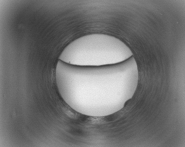 X0000074930093200609151950