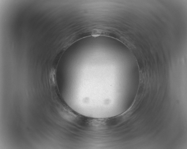 X0000074930094200609151950