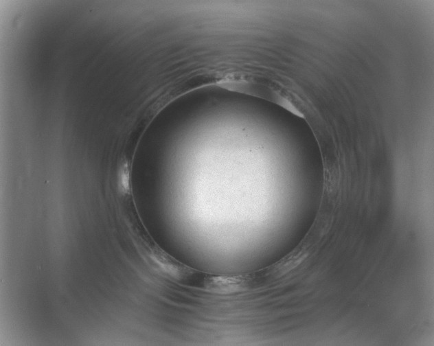 X0000074930095200609151950