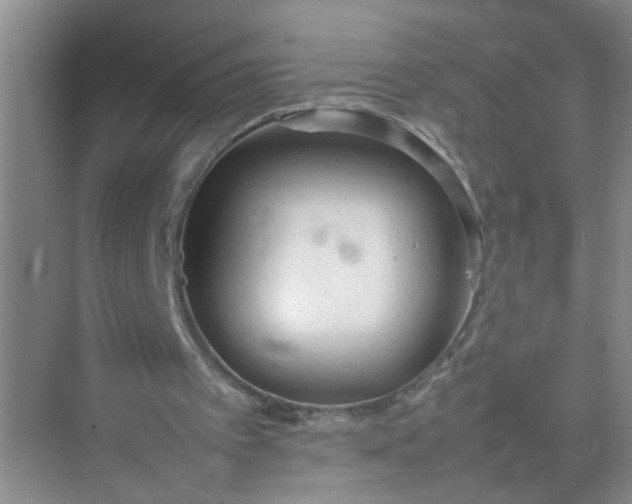 X0000074930097200609151949