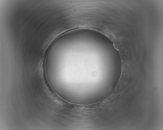 X0000074930098200609151949