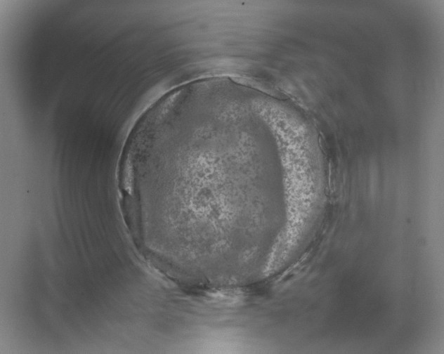 X0000074930099200609151949