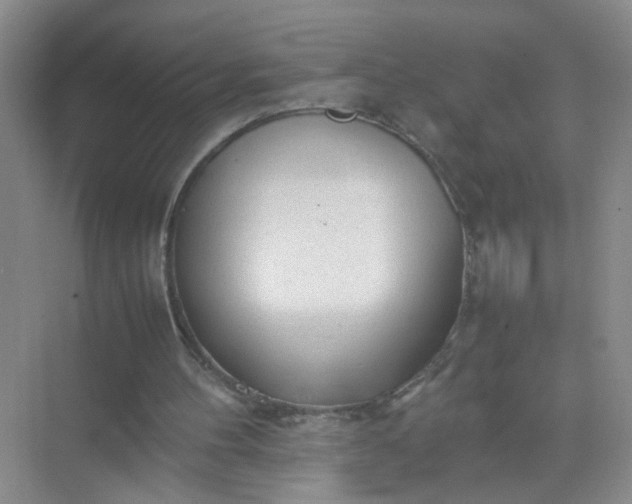 X0000074930100200609151949