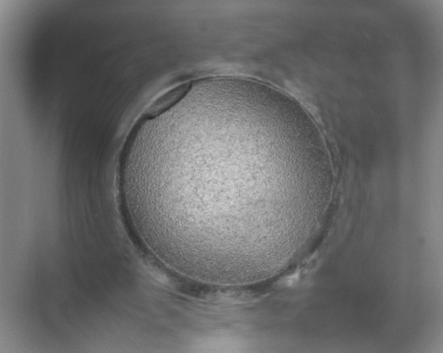 X0000074930103200609151949