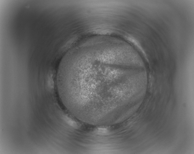 X0000074930114200609151949