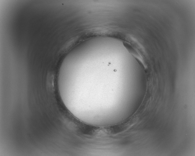 X0000074930115200609151949