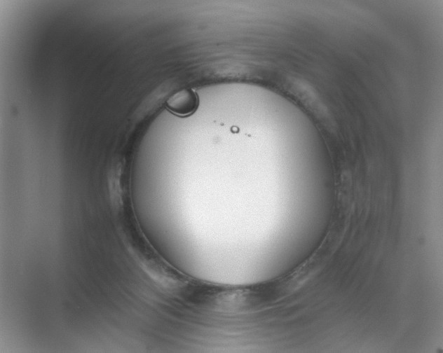 X0000074930116200609151949