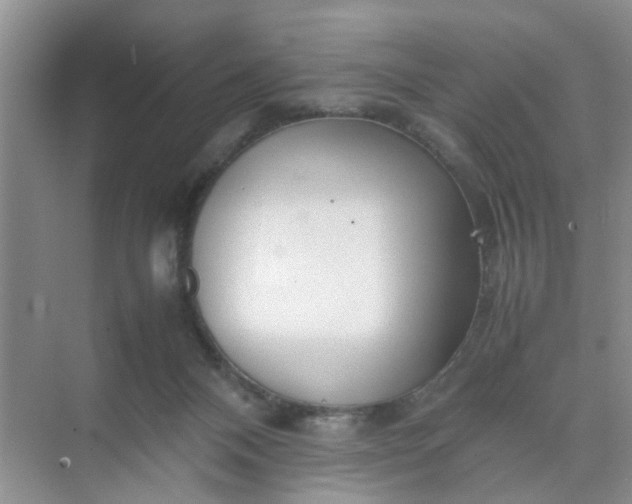 X0000074930120200609151949