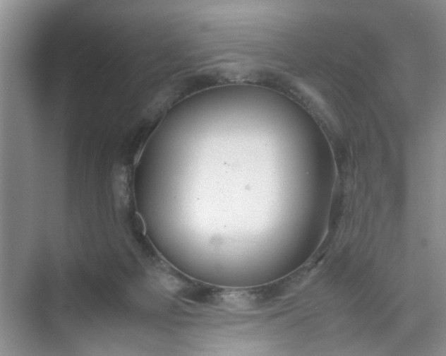 X0000074930121200609151949