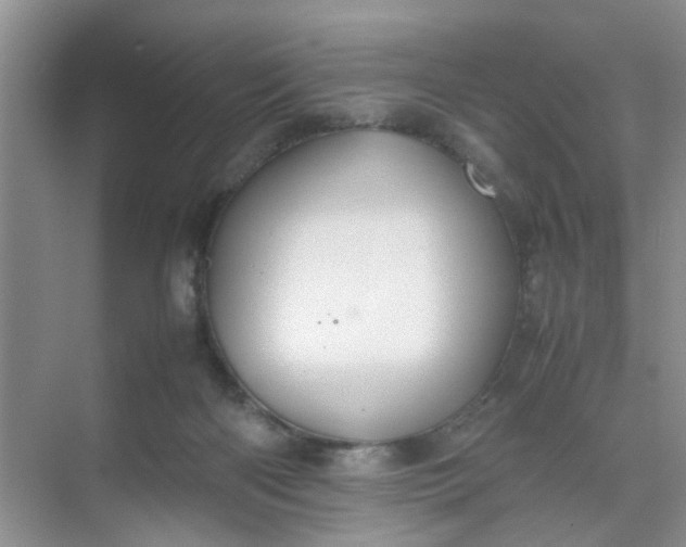 X0000074930122200609151949