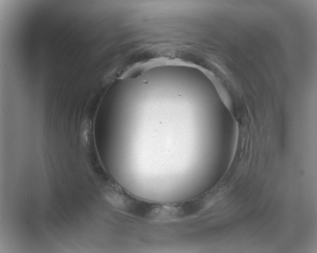 X0000074930125200609151949