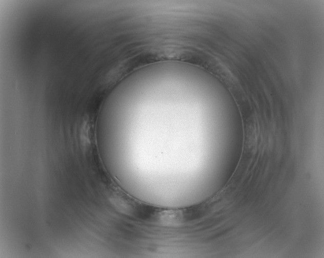 X0000074930126200609151949