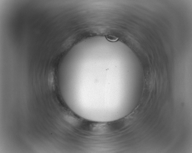 X0000074930132200609151948