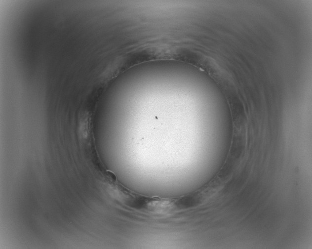 X0000074930133200609151948