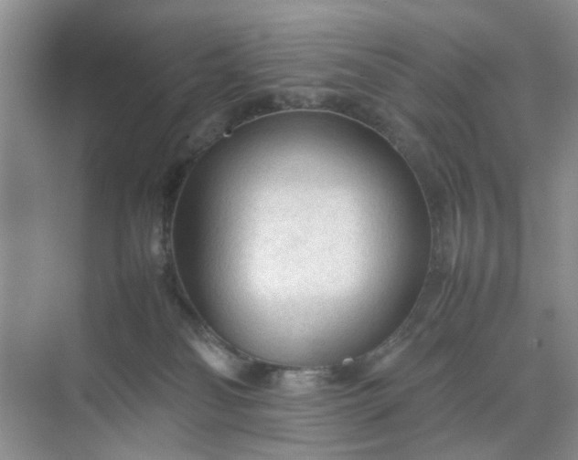 X0000074930134200609151948