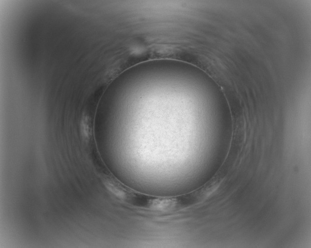 X0000074930135200609151948