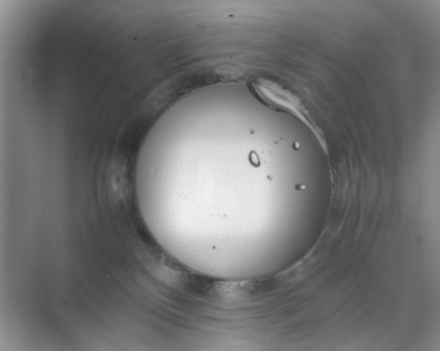 X0000074930136200609151948