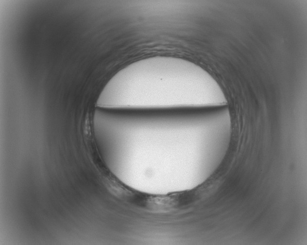 X0000074930137200609151948