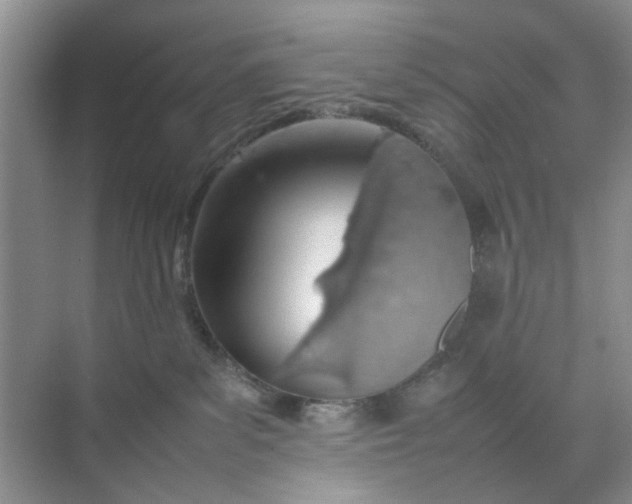 X0000074930139200609151948