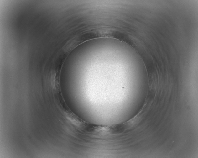 X0000074930140200609151948