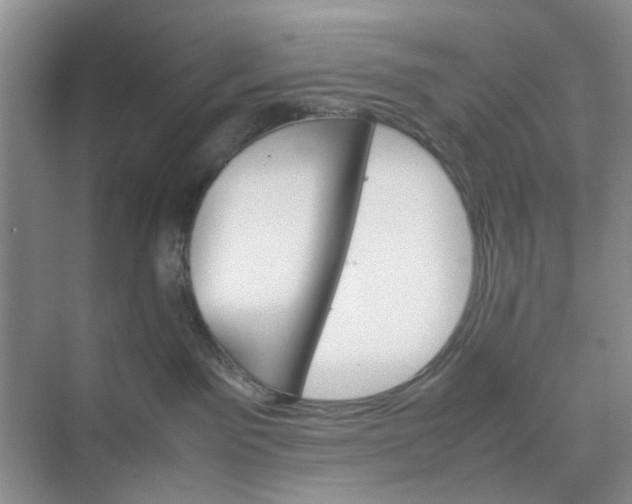 X0000074930141200609151948