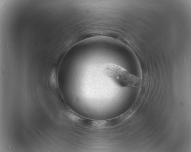 X0000074930143200609151948