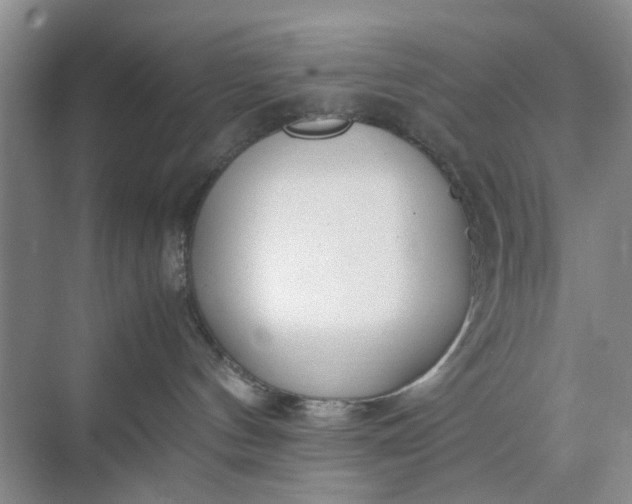 X0000074930144200609151948