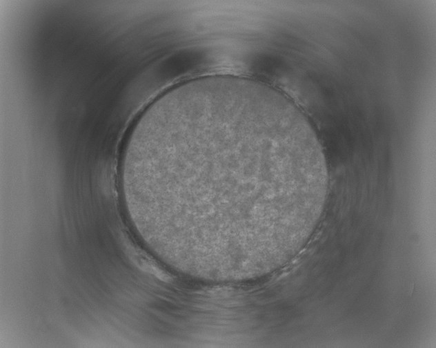 X0000074930146200609151947