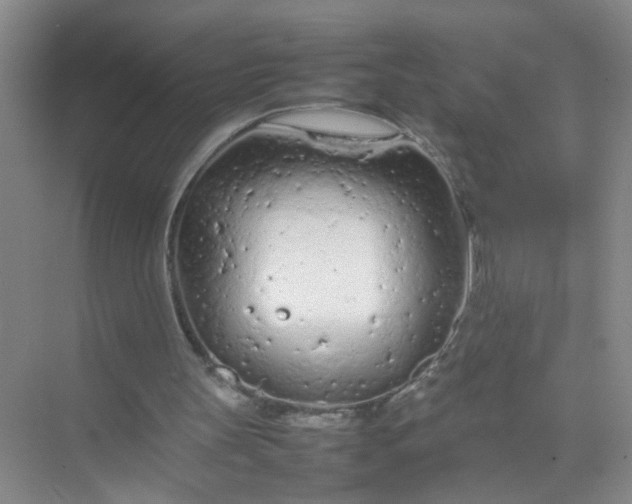 X0000074930147200609151947