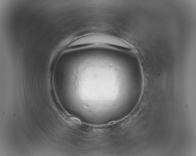 X0000074930149200609151948