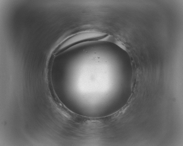 X0000074930150200609151948