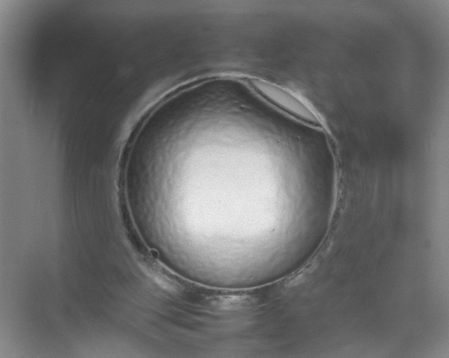 X0000074930151200609151948