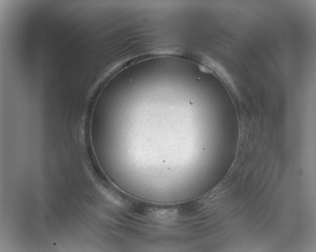 X0000074930155200609151948