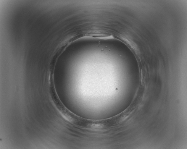 X0000074930157200609151948