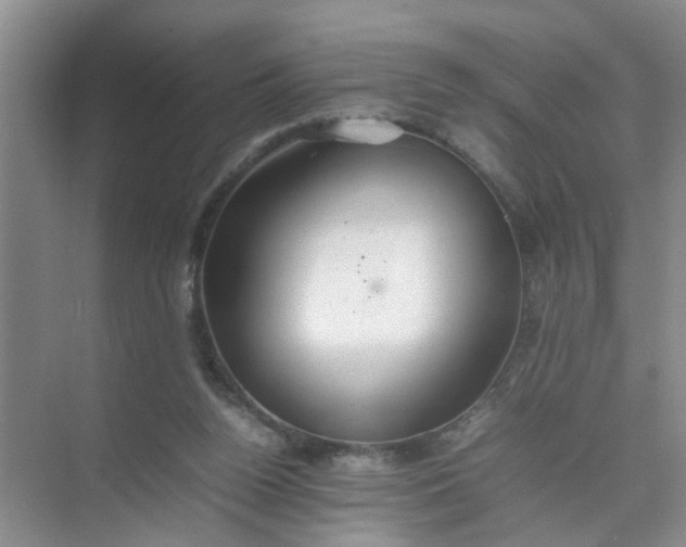 X0000074930160200609151948