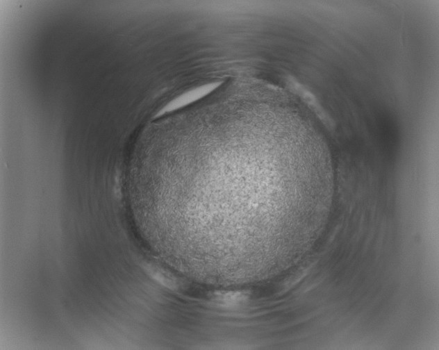 X0000074930161200609151948