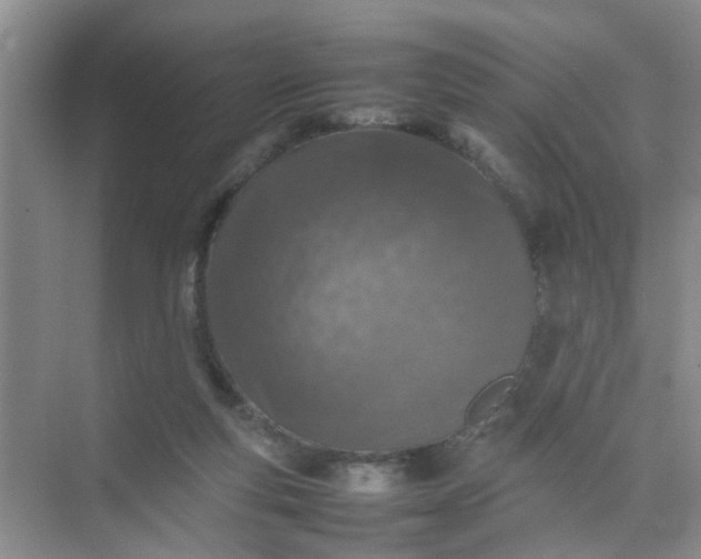 X0000074930163200609151948