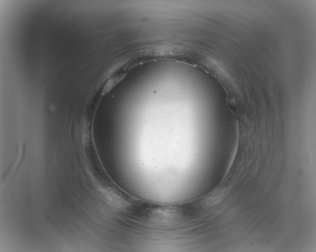 X0000074930164200609151948