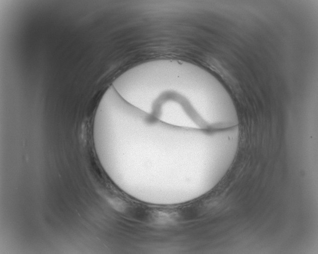 X0000074930165200609151948