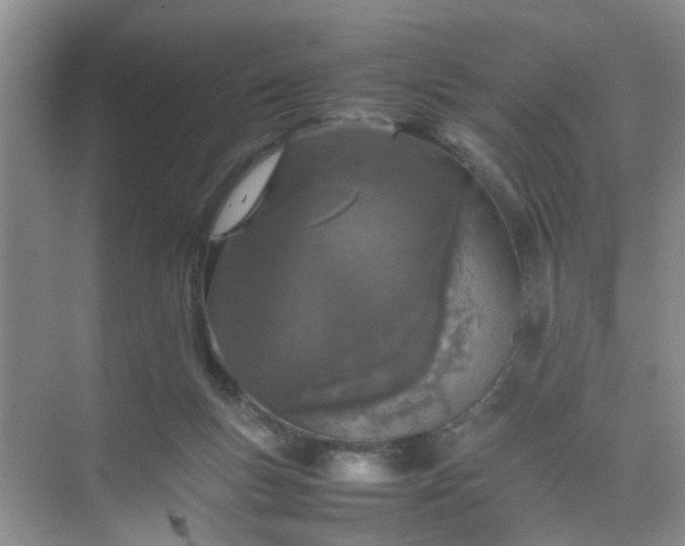 X0000074930167200609151948