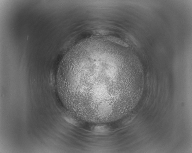 X0000074930173200609151948