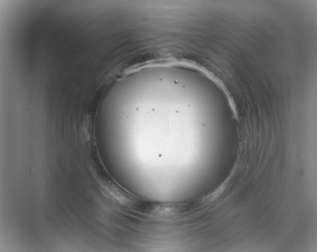 X0000074930174200609151948