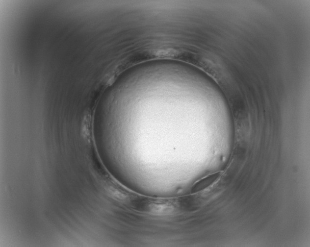 X0000074930175200609151948