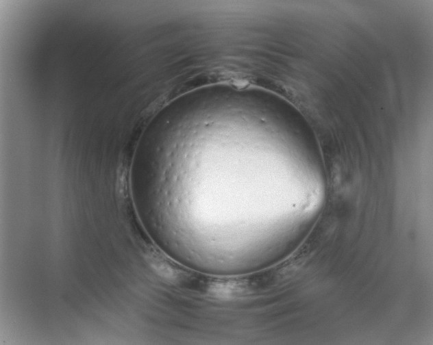 X0000074930177200609151948