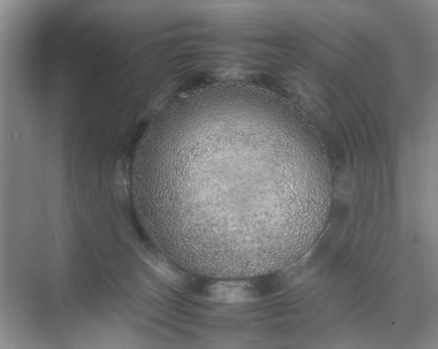 X0000074930179200609151948