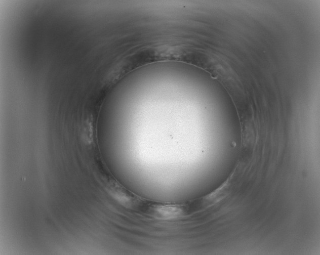 X0000074930183200609151948