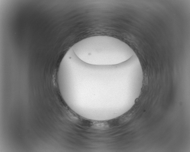 X0000074930185200609151948