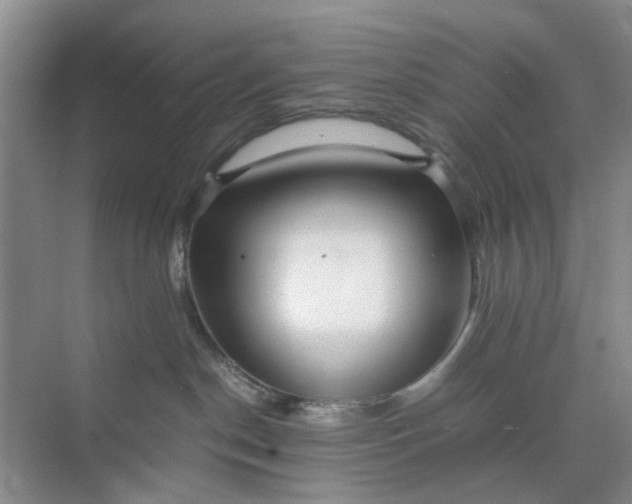 X0000074930190200609151948