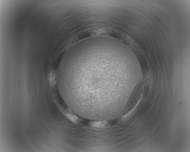 X0000074930191200609151948